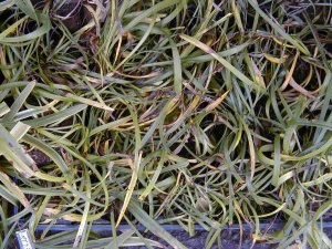 ���u����